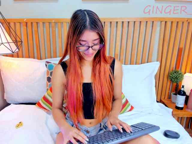 GingerWin webcam
