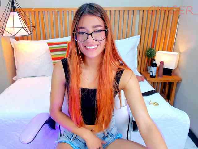 GingerWin webcam