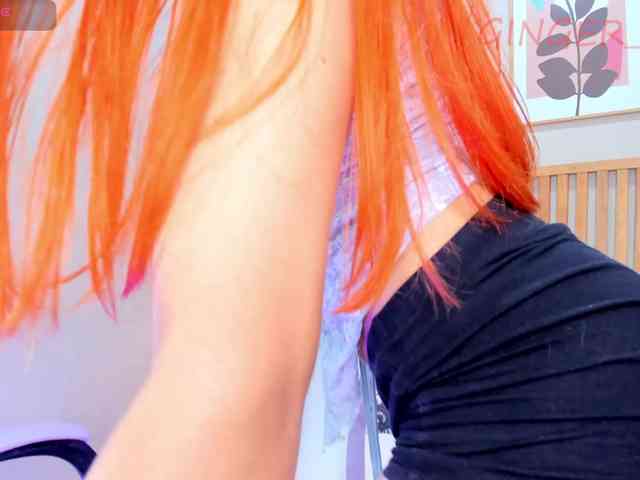 GingerWin webcam