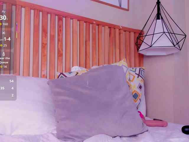 GingerWin webcam