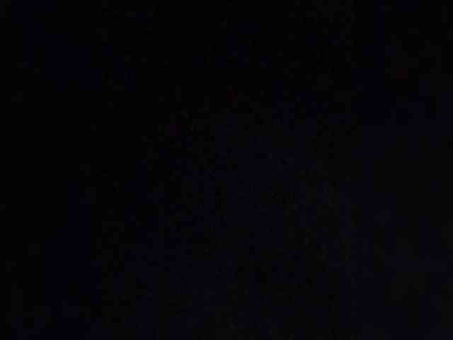 Cute_bibA webcam