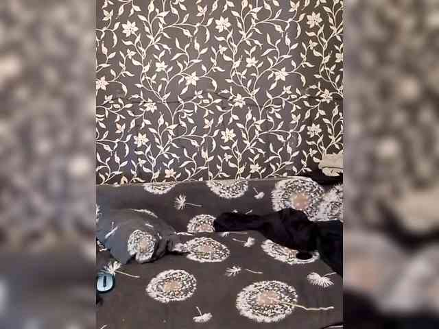 Cute_bibA webcam