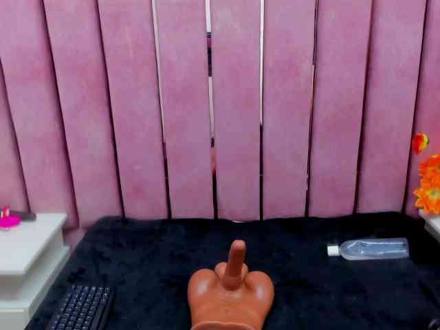 StefannySweet webcam