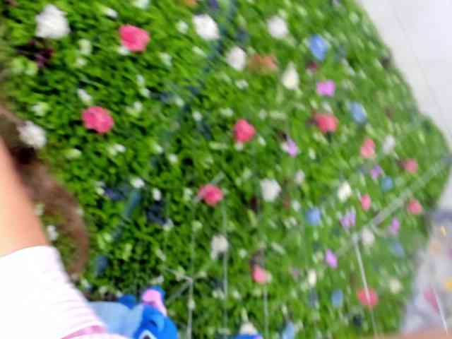 BabyAylin webcam