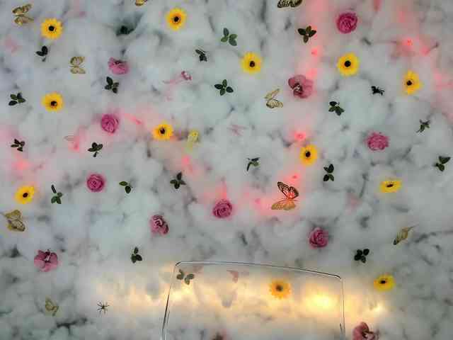 BabyAylin webcam
