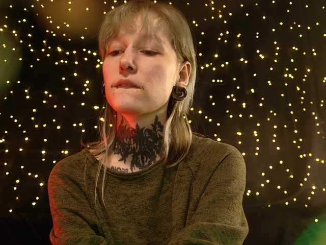 LittleSpaceMouse- webcam