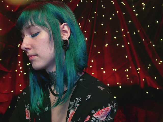 LittleSpaceMouse- webcam