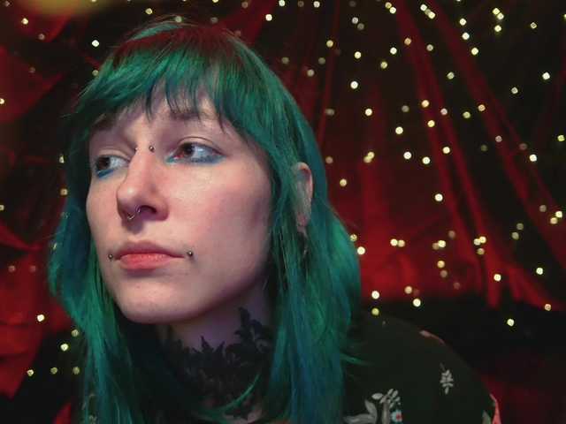 LittleSpaceMouse- webcam