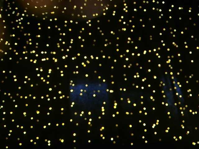 LittleSpaceMouse-'s BongaCams show and profile