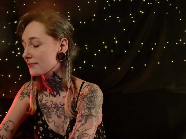 LittleSpaceMouse- webcam