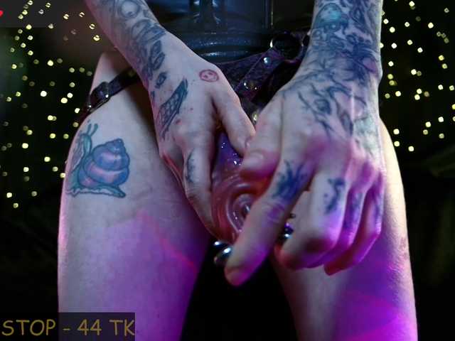 LittleSpaceMouse-'s BongaCams show and profile