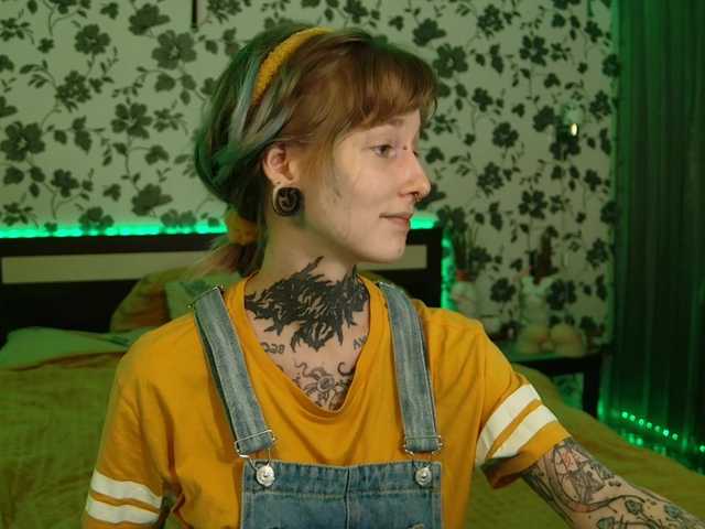 LittleSpaceMouse- webcam