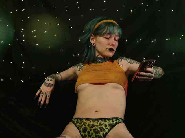 LittleSpaceMouse- webcam