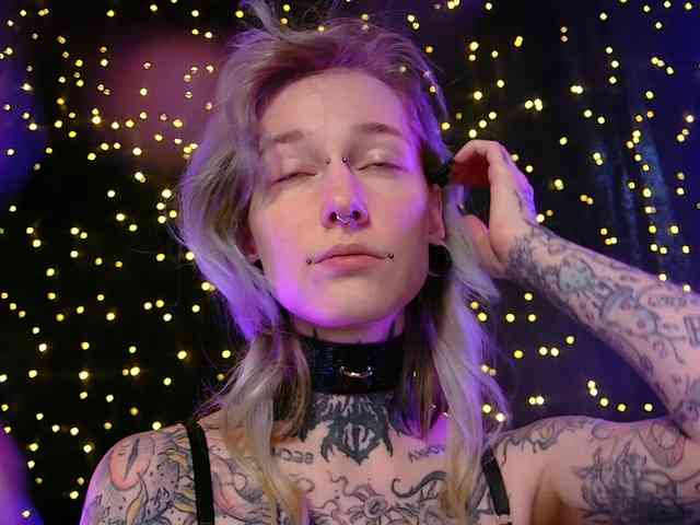 LittleSpaceMouse- webcam