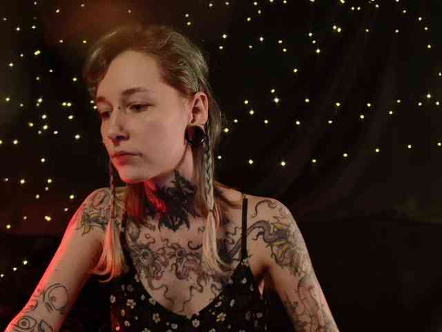 LittleSpaceMouse- webcam