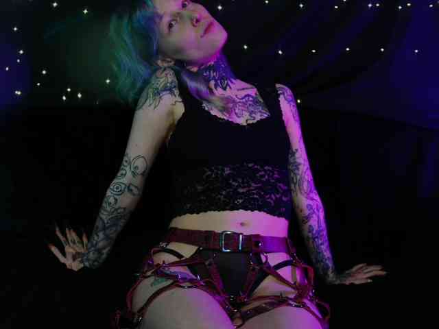 LittleSpaceMouse- webcam