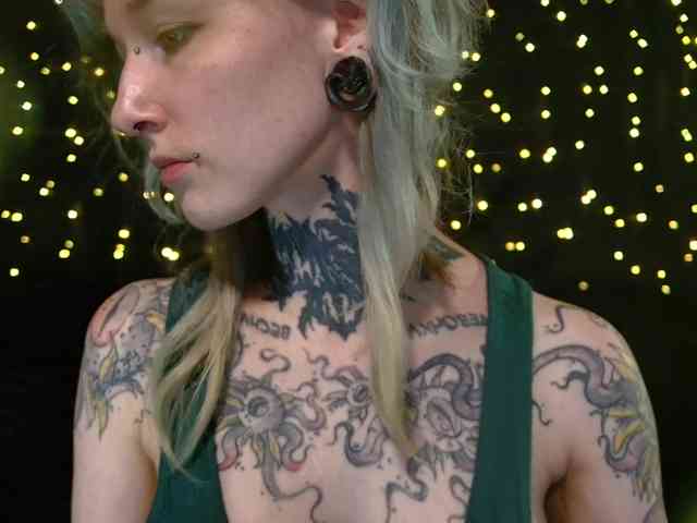 LittleSpaceMouse- webcam