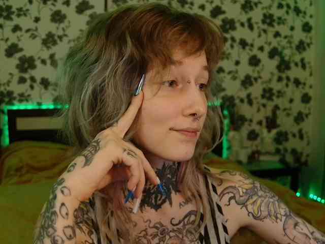 LittleSpaceMouse- webcam