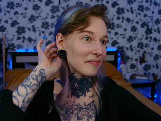 LittleSpaceMouse- webcam