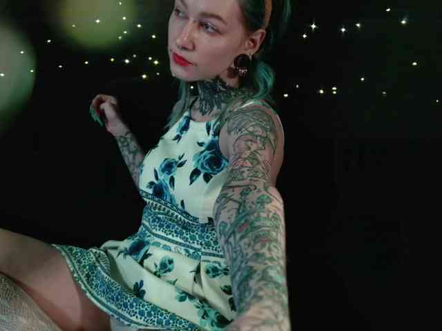 LittleSpaceMouse- webcam