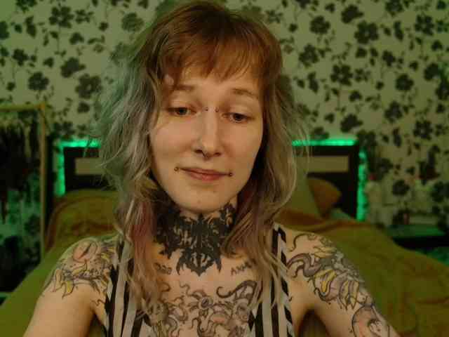 LittleSpaceMouse- webcam
