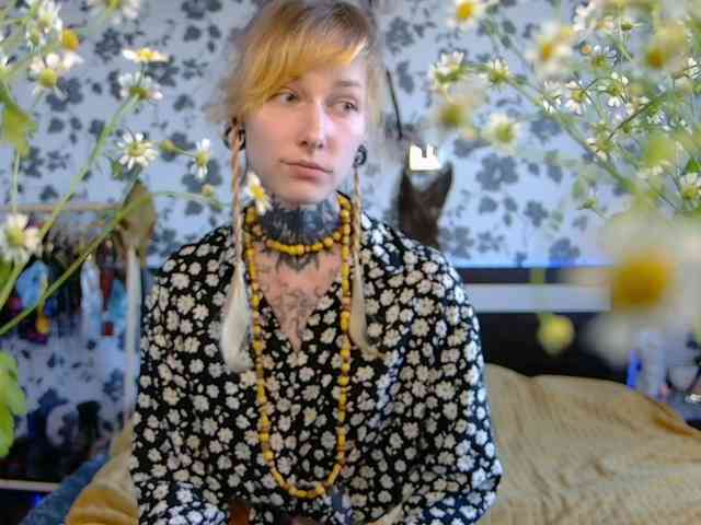 LittleSpaceMouse- webcam