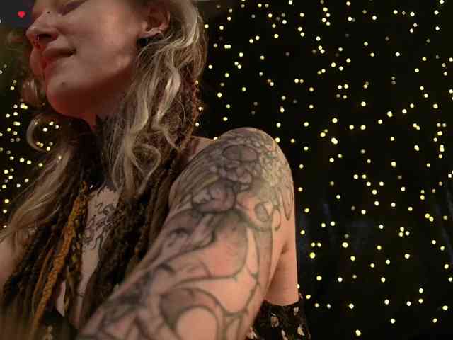 LittleSpaceMouse- webcam