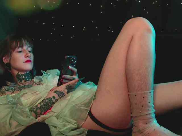 LittleSpaceMouse- webcam