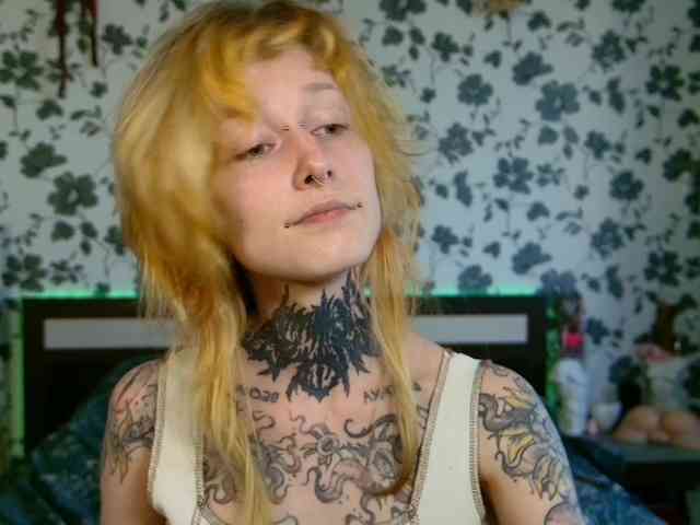 LittleSpaceMouse- webcam