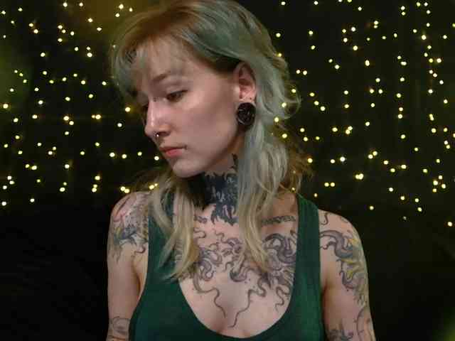 LittleSpaceMouse- webcam