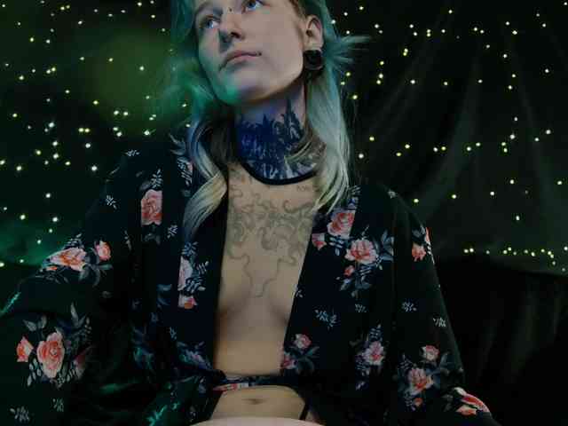 LittleSpaceMouse- webcam