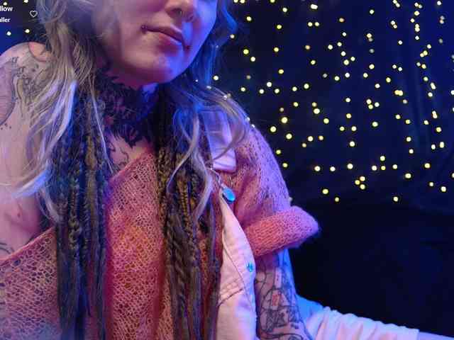 LittleSpaceMouse- webcam