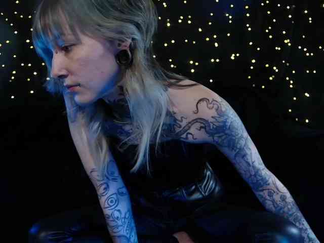 LittleSpaceMouse- webcam