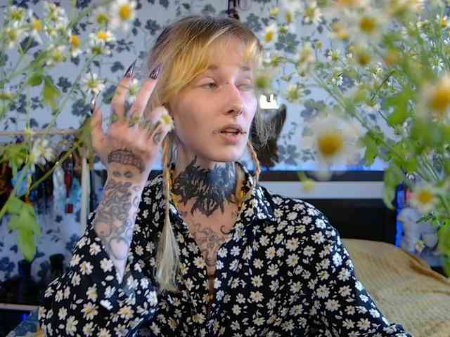 LittleSpaceMouse- webcam