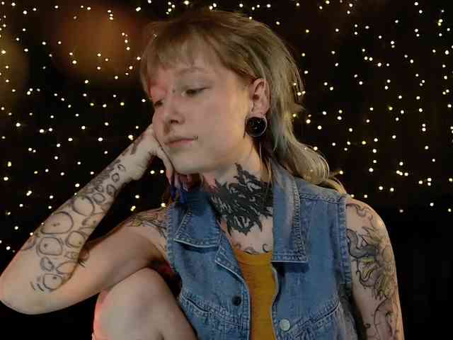 LittleSpaceMouse- webcam