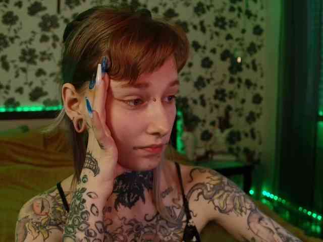 LittleSpaceMouse- webcam