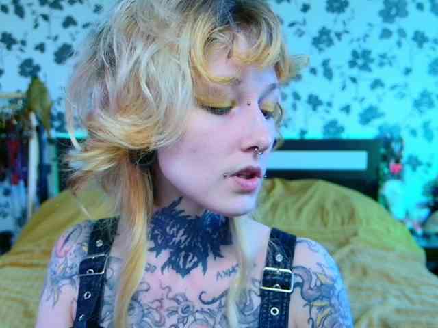 LittleSpaceMouse- webcam