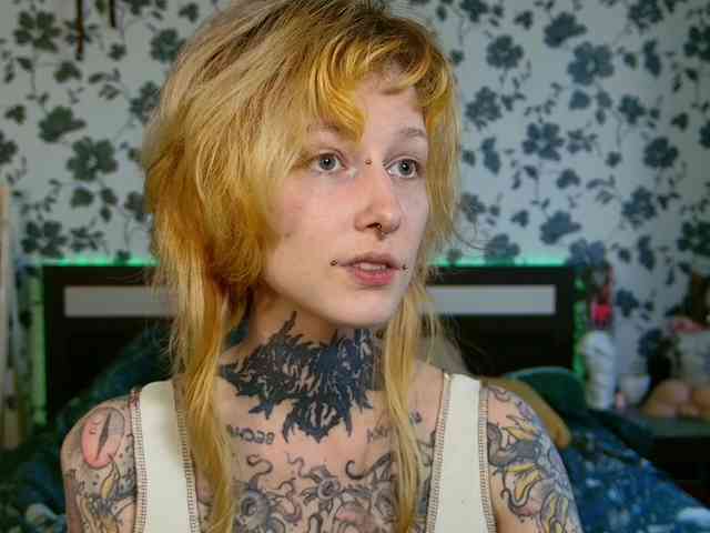 LittleSpaceMouse- webcam