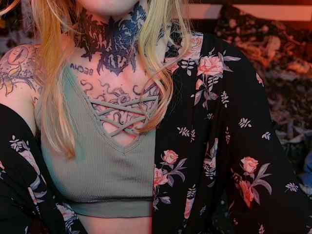 LittleSpaceMouse- webcam