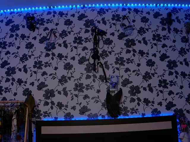 LittleSpaceMouse- webcam