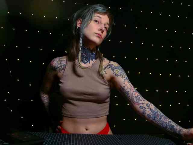 LittleSpaceMouse- webcam