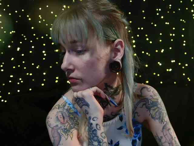 LittleSpaceMouse- webcam