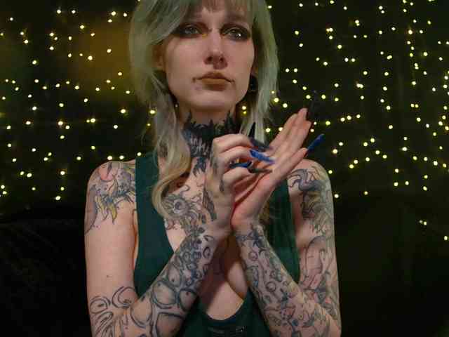 LittleSpaceMouse- webcam