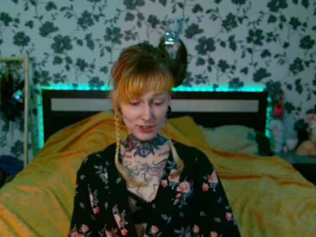 LittleSpaceMouse- webcam
