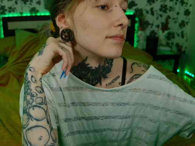 LittleSpaceMouse- webcam
