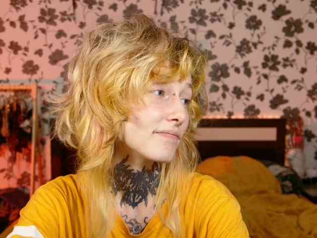 LittleSpaceMouse- webcam