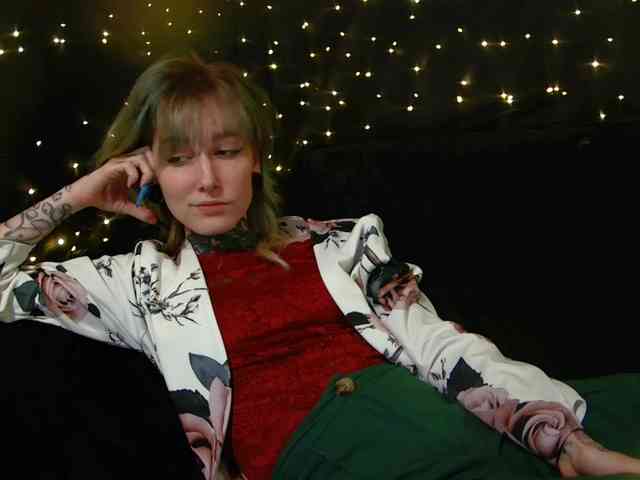 LittleSpaceMouse- webcam