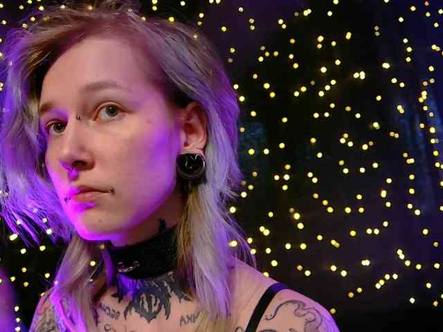 LittleSpaceMouse- webcam