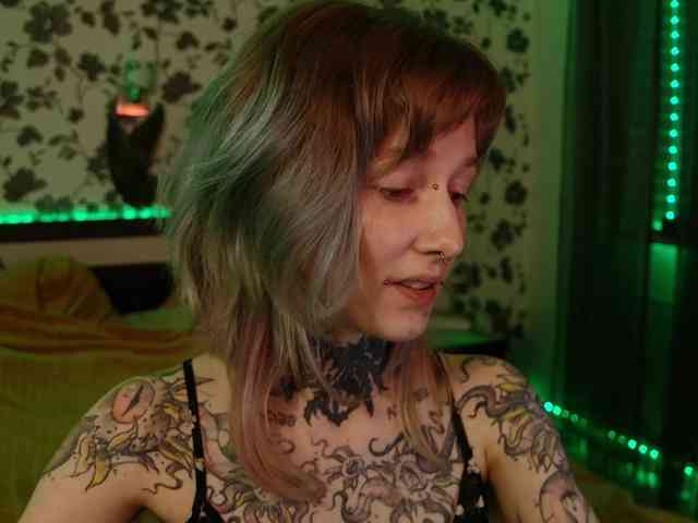 LittleSpaceMouse- webcam