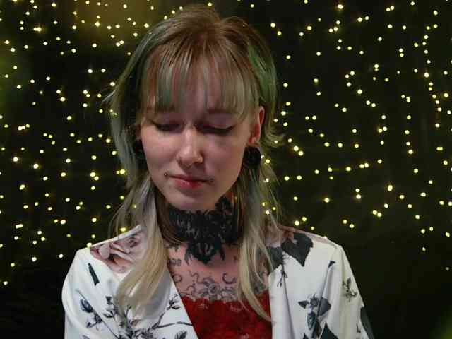 LittleSpaceMouse- webcam